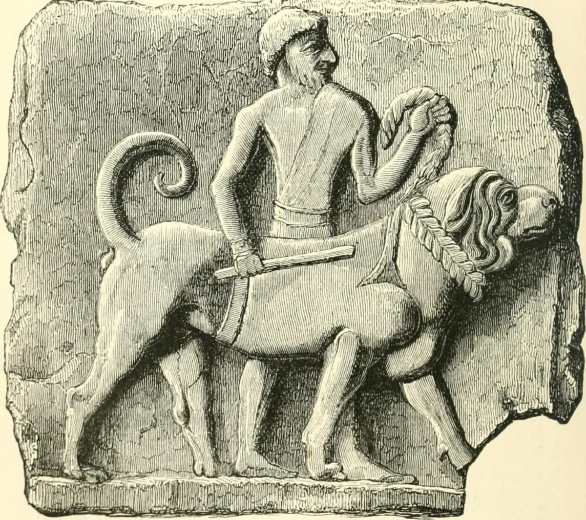 Assyrian Mastiff