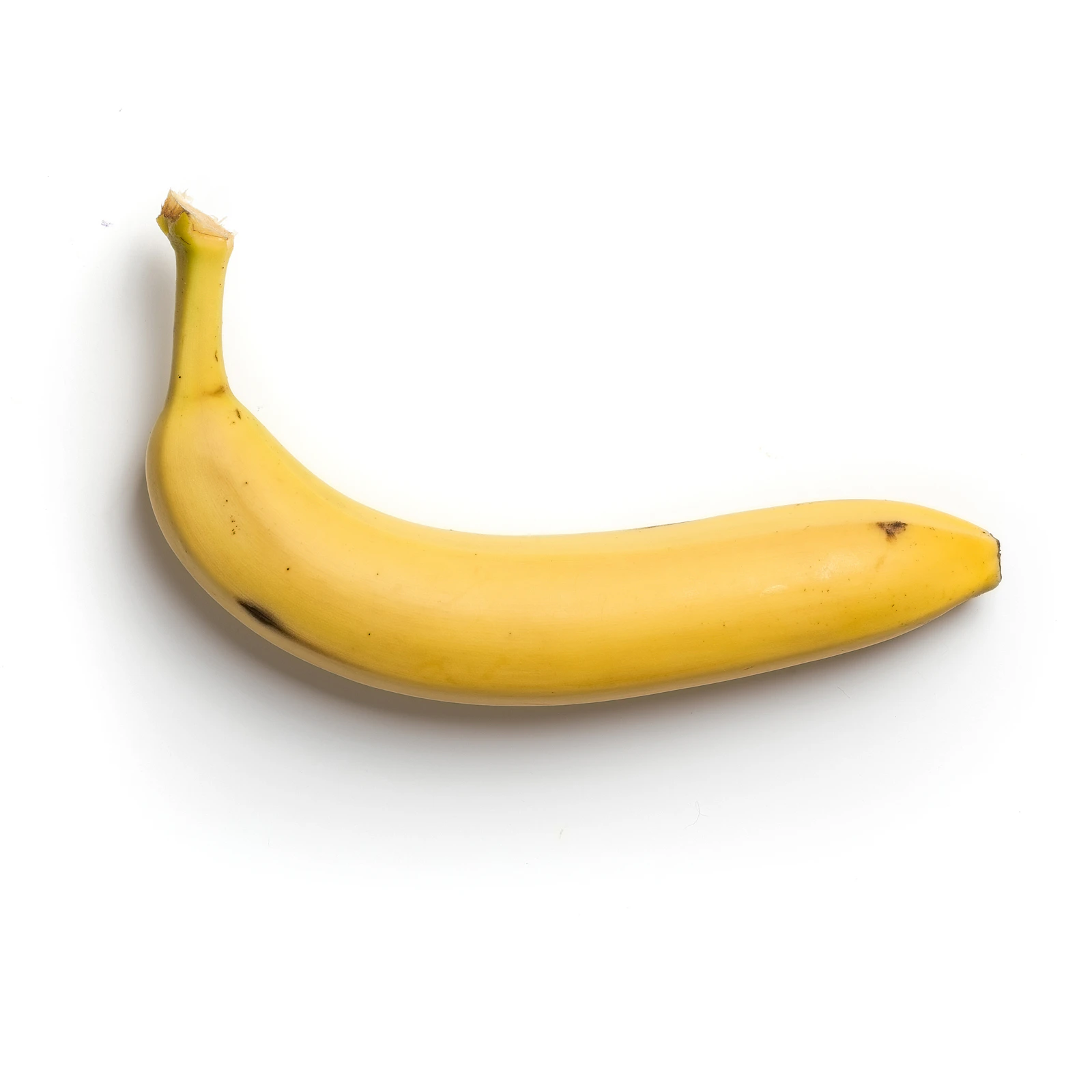 can-dogs-have-bananas-nutrition-portions-and-limits