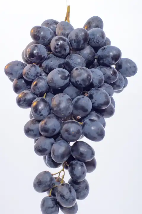 Grapes